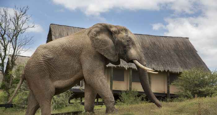 อื่นๆ Gorah Elephant Camp