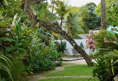 其他 2 Pousada Coqueiro Verde