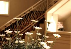 อื่นๆ 3 Astoria Vico Hotel