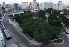 Others 3 Rede Andrade Guaíra