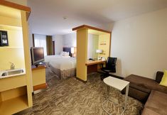 其他 3 SpringHill Suites by Marriott Albany-Colonie