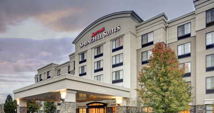 Lainnya SpringHill Suites by Marriott Wheeling Tridelphia Area