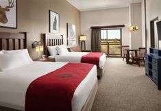 기타 7 Great Wolf Lodge Grapevine