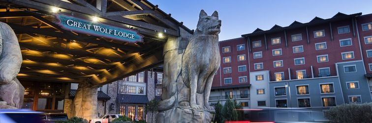기타 Great Wolf Lodge Grapevine