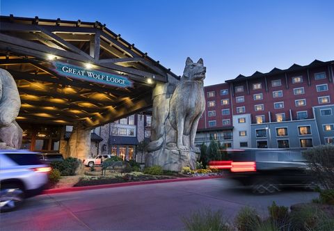 기타 Great Wolf Lodge Grapevine