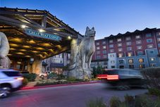 기타 Great Wolf Lodge Grapevine