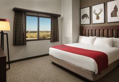 기타 6 Great Wolf Lodge Grapevine
