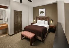기타 4 Great Wolf Lodge Grapevine