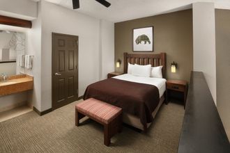 기타 4 Great Wolf Lodge Grapevine