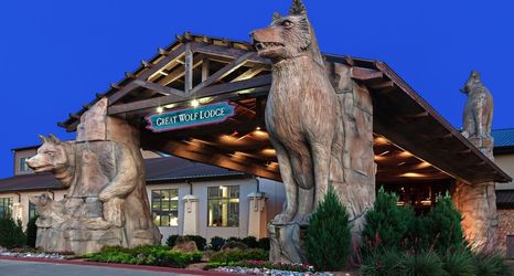 기타 2 Great Wolf Lodge Grapevine