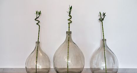 その他 2 Casa Vitae Suites