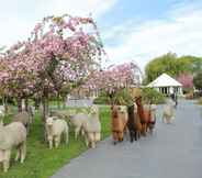 Others 7 Silverstream Alpaca Farmstay and Tour