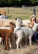 Imej utama Silverstream Alpaca Farmstay and Tour