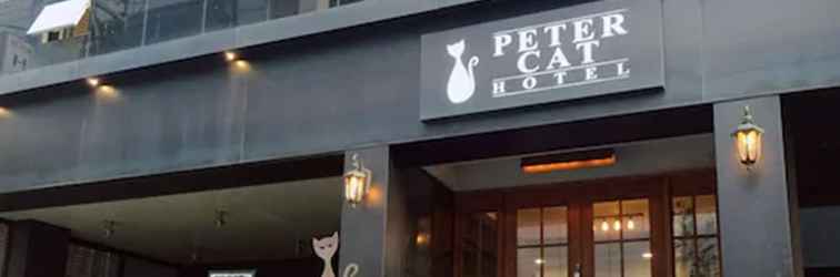 Lainnya Petercat Hotel Sinchon Hongdae