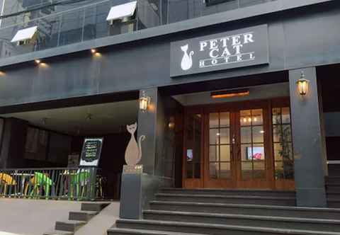 Lainnya Petercat Hotel Sinchon Hongdae