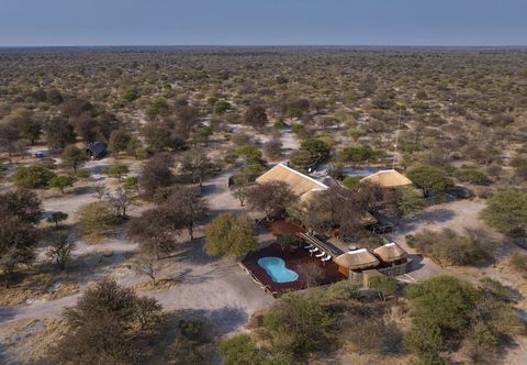 Others Evolve Back Kalahari