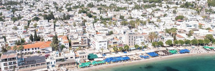 其他 Artemis Hotel