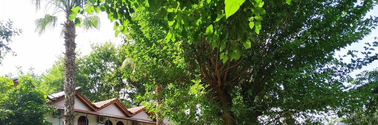 Others Olympos Yavuz Hotel