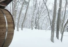 Lainnya 5 Hotel Abest Happo Aldea