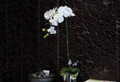 Khác 2 Le Noble Hotel