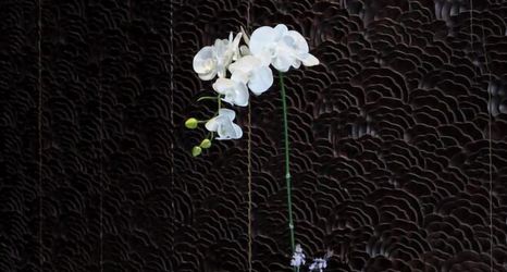 Khác 2 Le Noble Hotel