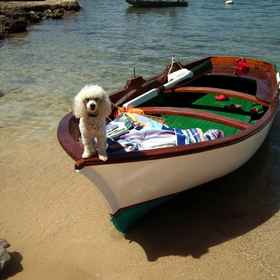 Primary image 1 萨卡瑟塔酒店, 埃斯波尔莱斯 酒店