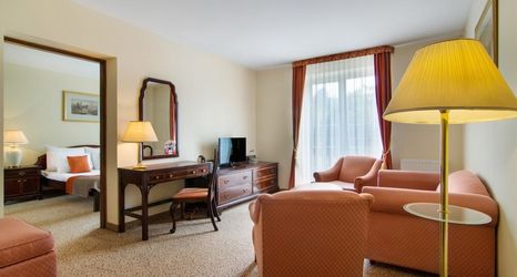 その他 2 Hotel Wisła Premium