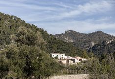 其他 2 Finca Can Beneït