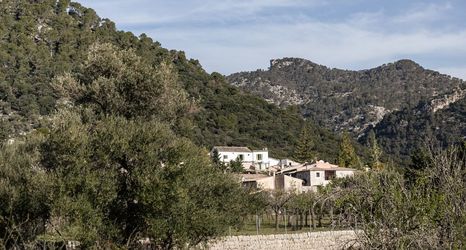 其他 2 Finca Can Beneït