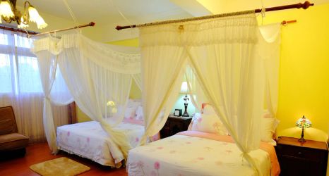 Others 2 Spring Garden