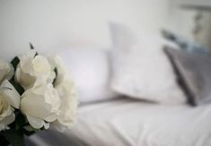 Others 6 Kiraz Cicegi Butik Akyaka