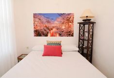 Others 3 Kiraz Cicegi Butik Akyaka