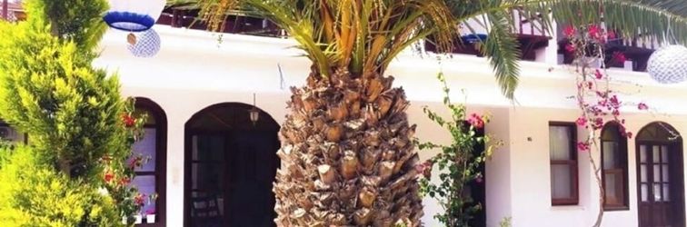 Others Kiraz Cicegi Butik Akyaka