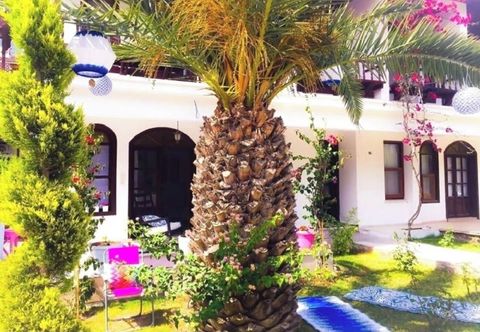 Others Kiraz Cicegi Butik Akyaka