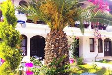 Others Kiraz Cicegi Butik Akyaka