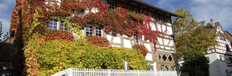 其他 Les Mignardises