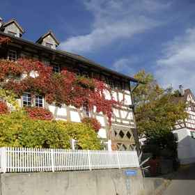 Primary image 1 레 미냐흐디즈, 취리히주 호텔