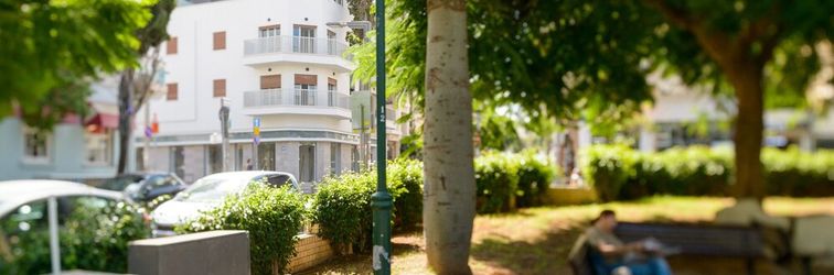 기타 CTLV - Sheinkin 30