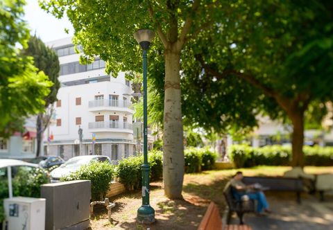 기타 CTLV - Sheinkin 30