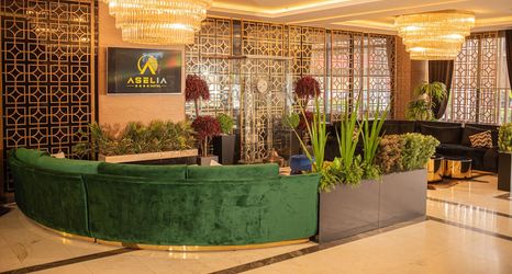 Others 2 Aselia Hotel Trabzon