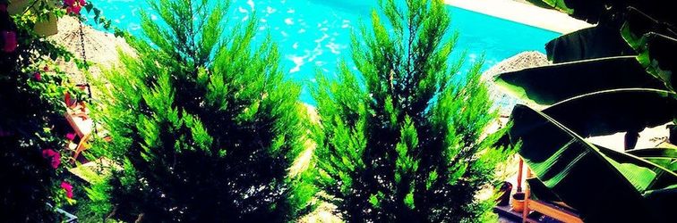 其他 Han Boutique Hotel