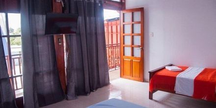 其他 4 Ayahuasca Amazonas