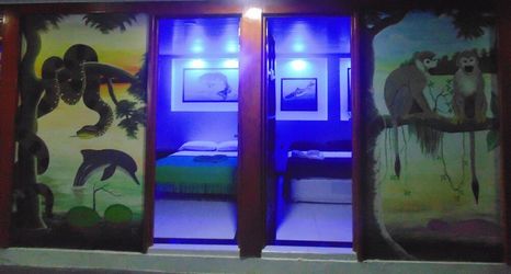 其他 2 Ayahuasca Amazonas