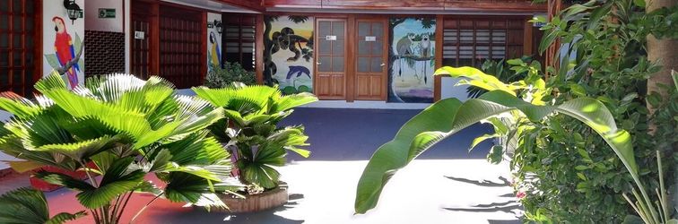 其他 Ayahuasca Amazonas