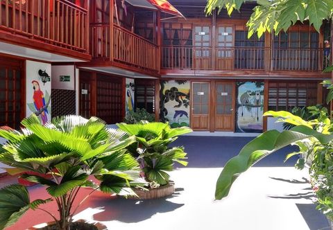 其他 Ayahuasca Amazonas