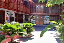 其他 Ayahuasca Amazonas