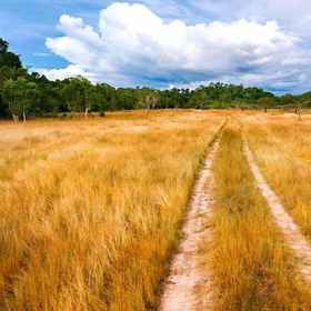 Primary image 1 The Camp Resort, Phang-nga Hotels