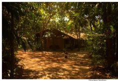 Khác 2 Cantos da Mata