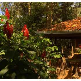 Primary image 1 Cantos da Mata, Mato Grosso Hotels