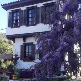 Primary image1杜克托爾艾維豪華精品飯店,以弗所考古遗址飯店